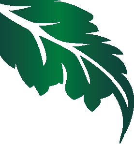 LogoMOOHoja.jpg